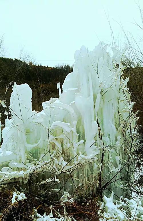 正月初五,西顺井赏冰
